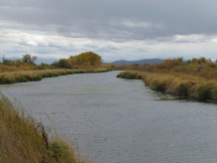 Der Rio Grande im Herbst
