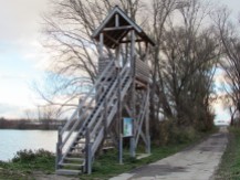 Beobachtungsturm am Altrheinsee